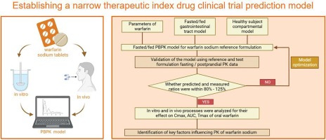 Predicting bioequivalence and developing dissolution bioequivalence safe space in vitro for warfarin using a Physiologically-Based pharmacokinetic absorption model