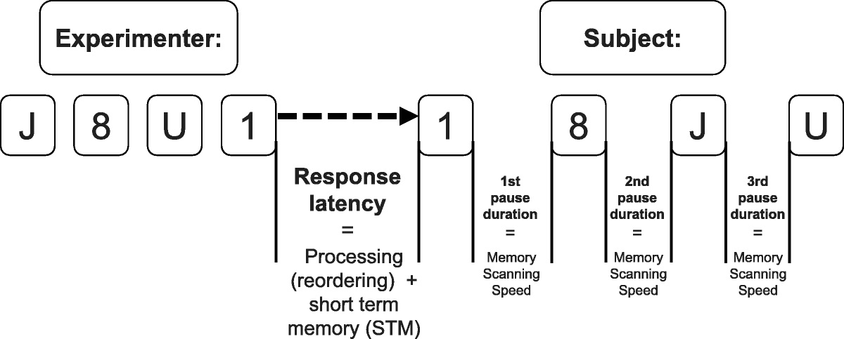 Speed of Information Processing and Verbal Working Memory in Children and Adolescents With Cochlear Implants