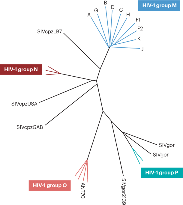 HIV infection