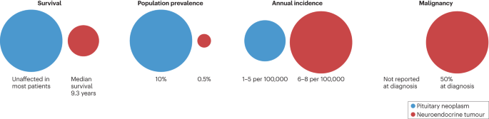 Pituitary adenoma or neuroendocrine tumour: the need for an integrated prognostic classification