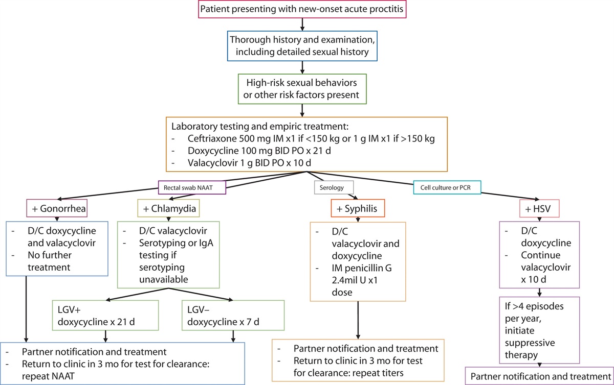 Acute Infectious Proctitis Caused by Anorectal Sexually Transmitted Infections