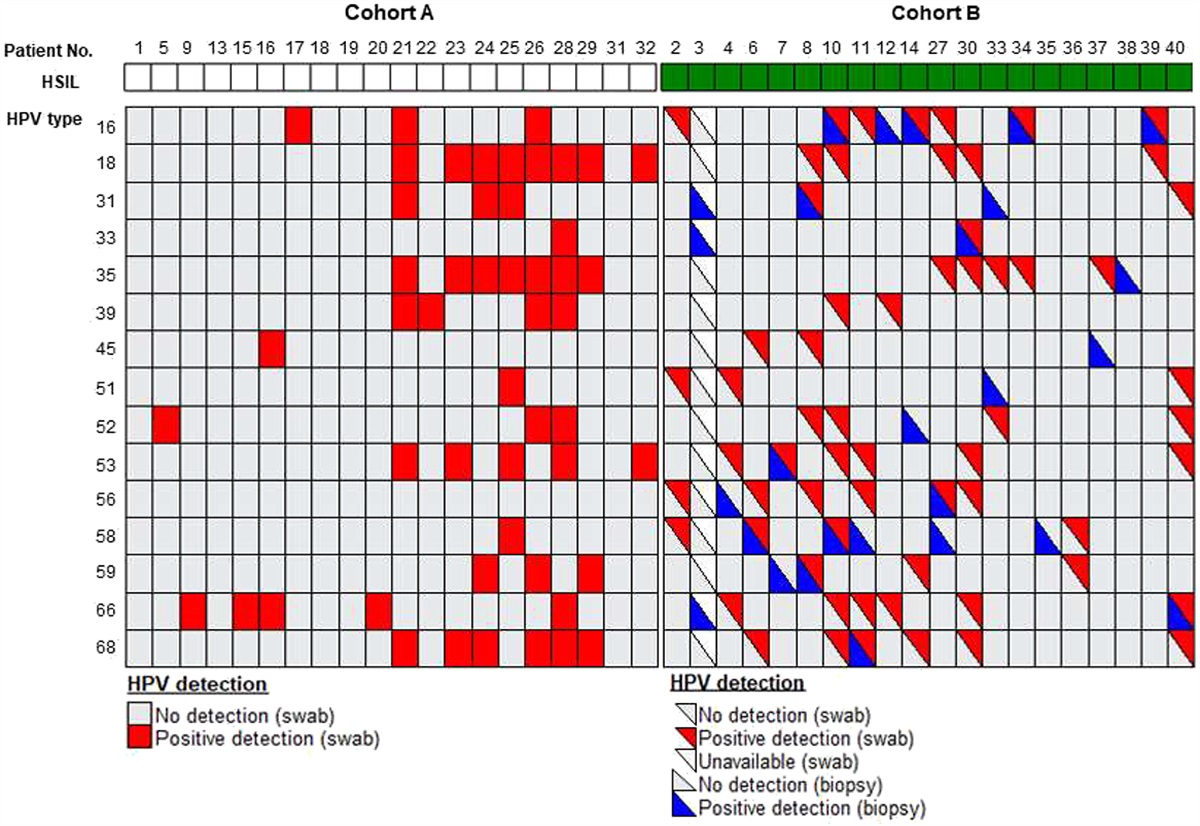 High Specificity of HPV Cell-Free DNA Tests in Persons With HIV for the Detection of HPV-Related Cancer