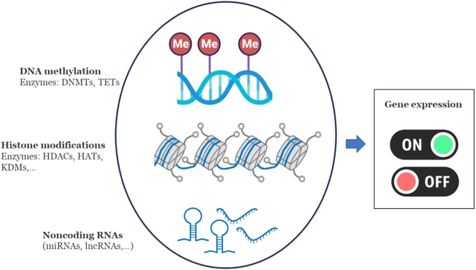 Micronutrients in early life and offspring metabolic health programming: a promising target for preventing non-communicable diseases