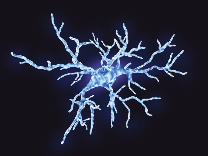 Microglial inflammatory signalling improves glucose tolerance