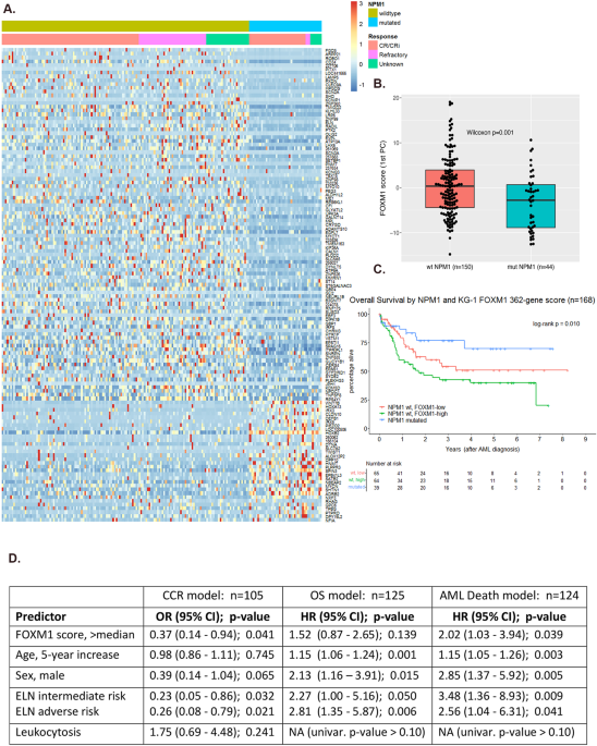 Favorable outcomes of NPM1mut AML patients are due to transcriptional inactivation of FOXM1, presenting a new target to overcome chemoresistance