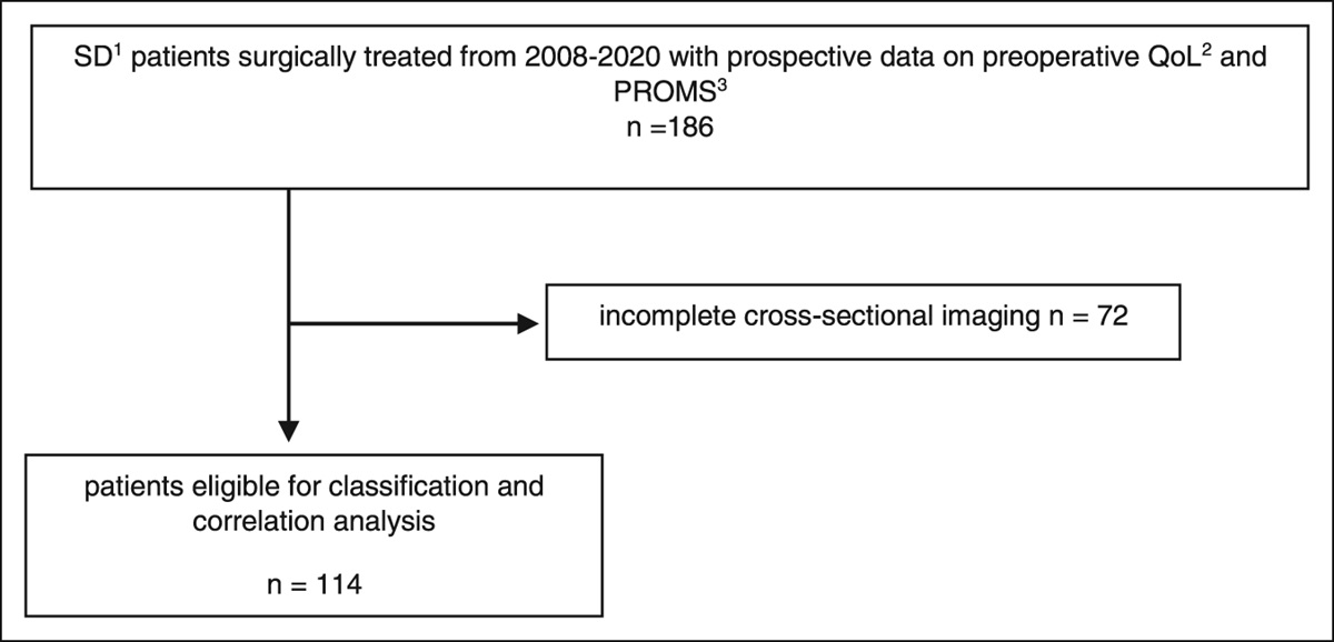 Evaluation of Classification Systems and Their Correlation With Clinical and Quality-of-life Parameters in Patients With Surgically Treated Spondylodiskitis