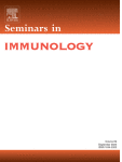 T cell control of inflammaging