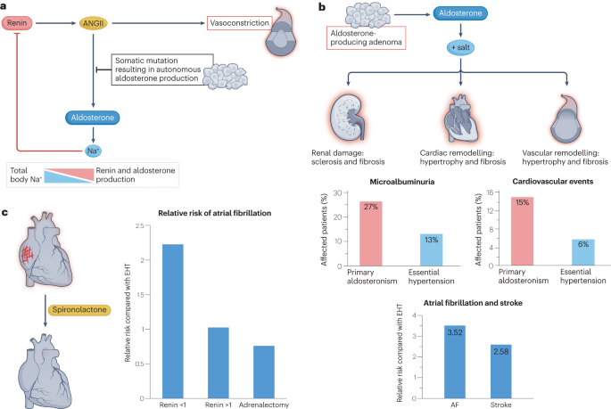 Primary aldosteronism: molecular medicine meets public health