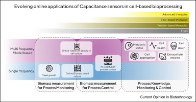 Capacitance sensors in cell-based bioprocesses: online monitoring of biomass and more