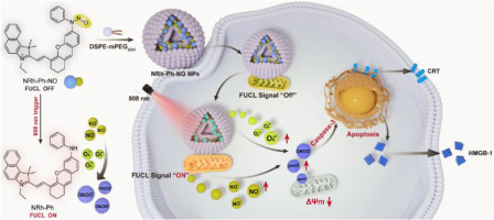 Mitochondria-specific near-infrared photoactivation of peroxynitrite upconversion luminescent nanogenerator for precision cancer gas therapy