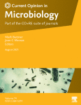 Fungal pathogens and COVID-19