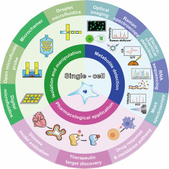 Recent advancements in single-cell metabolic analysis for pharmacological research