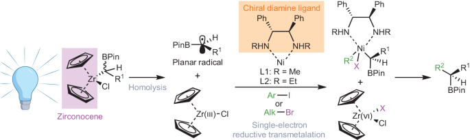 Setting the zirconocene for radical selectivity