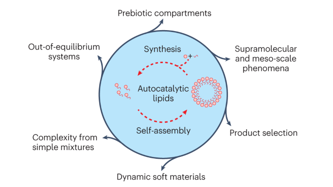 From autocatalysis to survival of the fittest in self-reproducing lipid systems