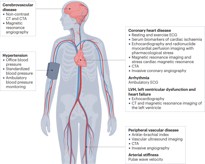 Diagnosis of cardiovascular disease in patients with chronic kidney disease