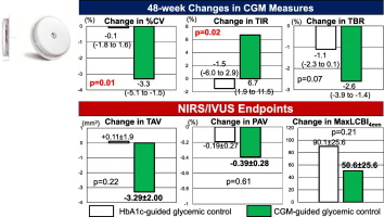 The effect of continuous glucose monitoring-guided glycemic control on progression of coronary atherosclerosis in type 2 diabetic patients with coronary artery disease: The OPTIMAL randomized clinical trial