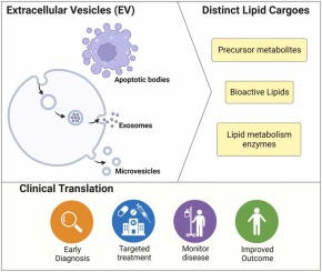 Role of Lipid Signalling in Extracellular Vesicles-mediated Cell-to-cell Communication