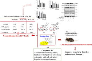 Discovery of acylated isoquercitrin derivatives as potent anti-neuroinflammatory agents in vitro and in vivo