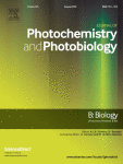 Unleashing the potential of 5-Aminolevulinic acid: Unveiling a promising target for cancer diagnosis and treatment beyond photodynamic therapy