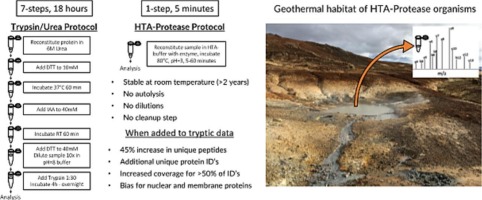 From volcanoes to the bench: Advantages of novel hyperthermoacidic archaeal proteases for proteomics workflows