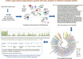 Comprehensive genetic diversity and molecular evolutionary analysis of Theileria annulata isolates based on TAMS 1 gene
