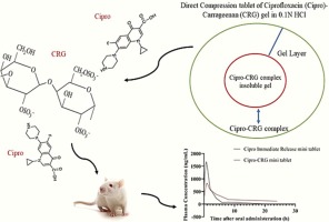 Preparation and in vitro/in vivo characterization of sustained-release ciprofloxacin-carrageenan complex
