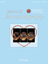 Role of echocardiography in patients treated with immune checkpoints inhibitors