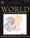 Full Endoscopic Spine Surgery with Image-Guided Navigation System as “Hybrid Endoscopic Spine Surgery”: A Narrative Review