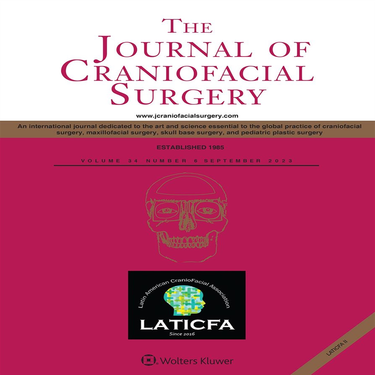 Speech Outcomes and Velopharyngeal Function in Children Undergoing Submucous Cleft Palate Repair