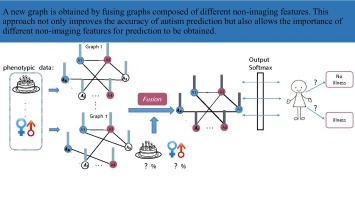 Graph Fusion prediction of autism based on attentional mechanisms