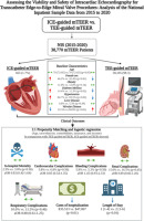 Feasibility and Safety of Intracardiac Echocardiography Guidance in Mitral Transcatheter Edge-to-Edge Repair: Analysis of the National Inpatient Sample Data From 2015 to 2020