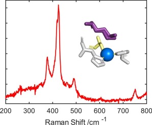 Resonance Raman spectra of blue copper proteins: Variable temperature spectra of Thermus thermophilus HB27 laccase