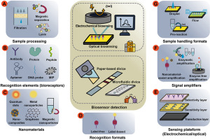 Biosensors for Waterborne Virus Detection: Challenges and Strategies