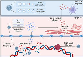 Metal nanoparticles for cancer therapy: Precision targeting of DNA damage
