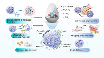 Unlocking the potential of amorphous calcium carbonate: A star ascending in the realm of biomedical application