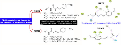 Novel alkyl-substituted 4-methoxy benzaldehyde thiosemicarbazones: Multi-target directed ligands for the treatment of Alzheimer's disease