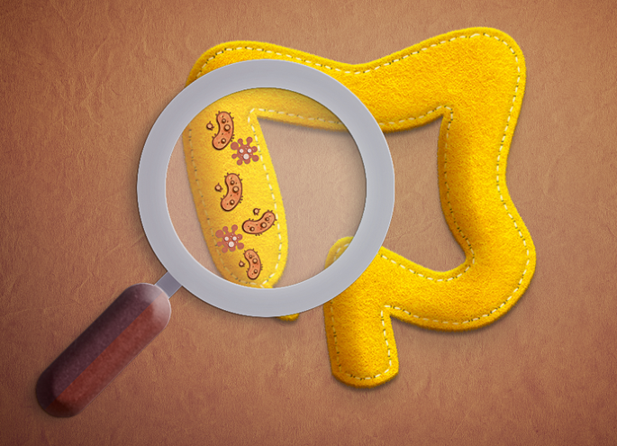 Orally delivered lactate-producing bacteria limit CNS autoimmunity