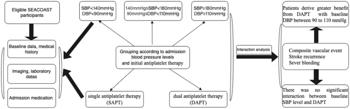 Minor stroke patients with mild-moderate diastolic blood pressure derive greater benefit from dual antiplatelet therapy