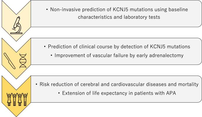 Emerging association between KCNJ5 mutations and vascular failure in primary aldosteronism