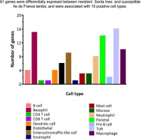 Abomasal RNA-seq reveals a strong local cellular response in suckling lambs with resistance against Haemonchus contortus