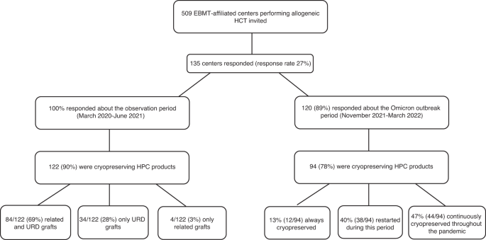 Fresh or frozen grafts for allogeneic stem cell transplantation: conceptual considerations and a survey on the practice during the COVID-19 pandemic from the EBMT Infectious Diseases Working Party (IDWP) and Cellular Therapy & Immunobiology Working Party (CTIWP)