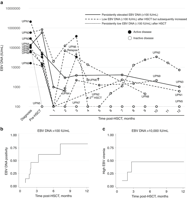 Incidence and course of Epstein-Barr virus viremia after allogeneic hematopoietic stem cell transplant for adult-onset systemic chronic active Epstein-Barr virus disease