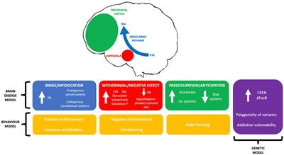 Conflicting theories on addiction aetiology and the strengths and limitations of substance use disorder disease modelling