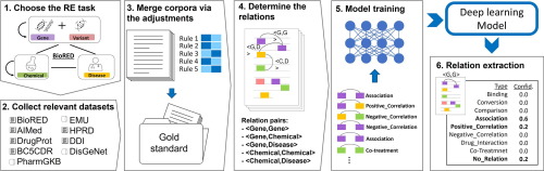 BioREx: Improving Biomedical Relation Extraction by Leveraging Heterogeneous Datasets