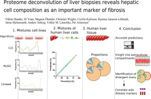 Proteome deconvolution of liver biopsies reveals hepatic cell composition as an important marker of fibrosis
