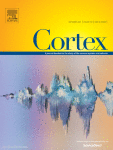 Spontaneous eye blinking during an auditory, an interoceptive and a visual task: The role of the sensory modality and the attentional focus