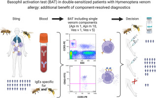 Basophil Activation Test in Double-Sensitized Patients With Hymenoptera Venom Allergy: Additional Benefit of Component-Resolved Diagnostics