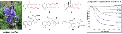 11,12-seco-Abietane-type diterpene lactones with potential antiplatelet activity from Salvia prattii