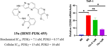 Discovery of Pyrazolo[1,5-a]pyrimidine derivative as a potent and selective PI3Kγ/δ dual inhibitor