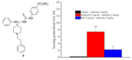 Discovery of a novel series of potent carbonic anhydrase inhibitors with selective affinity for μ Opioid receptor for Safer and long-lasting analgesia